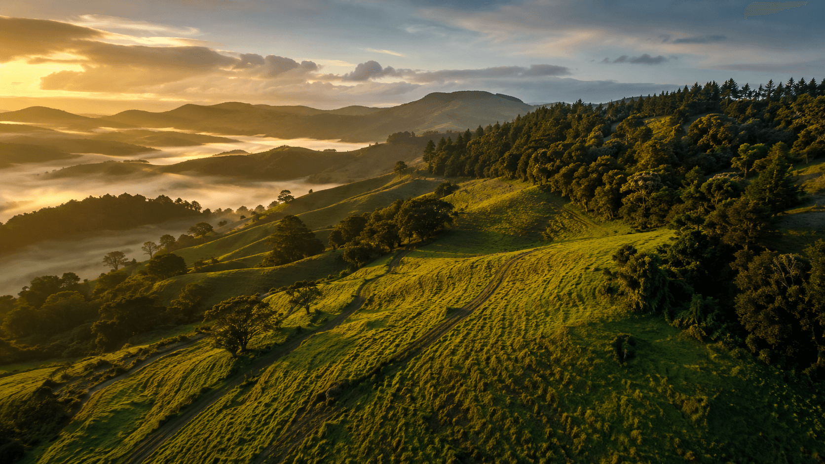 Topography — Regenpreneur PDC, New Zealand