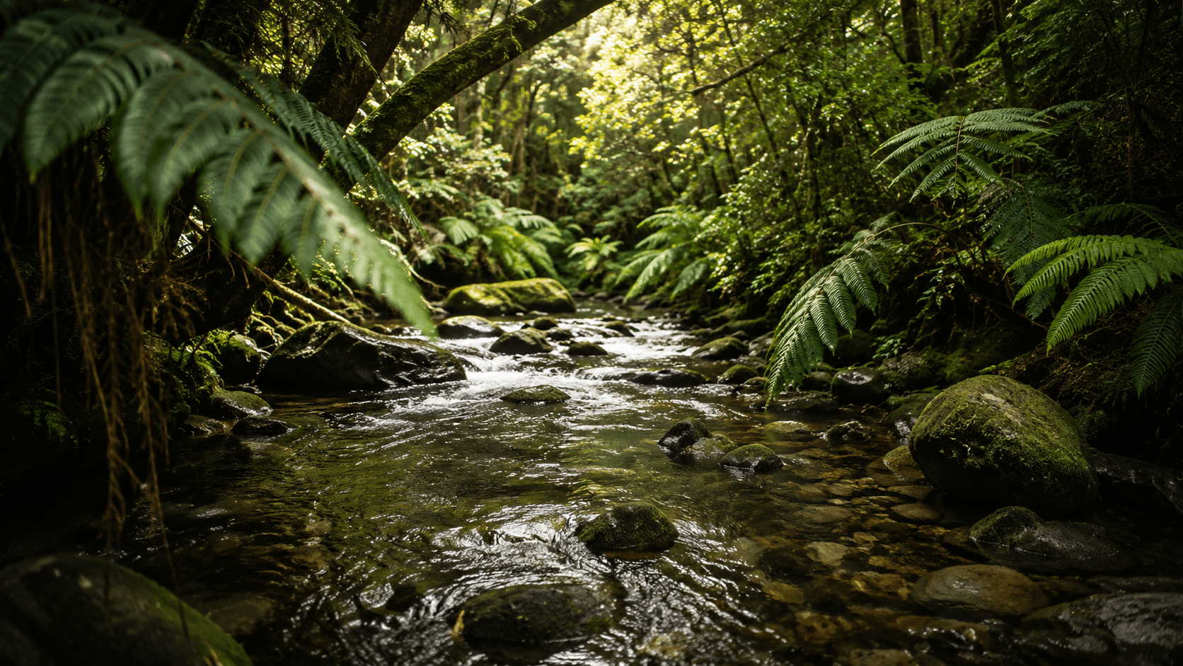 Water Quality — Regenpreneur PDC, New Zealand
