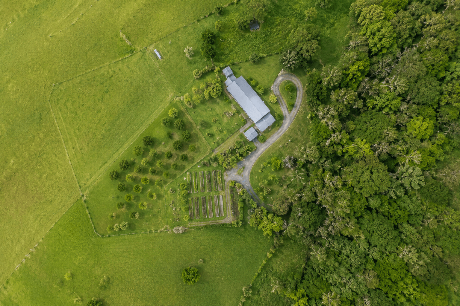 Holistic Land Design — Regenpreneur PDC, New Zealand